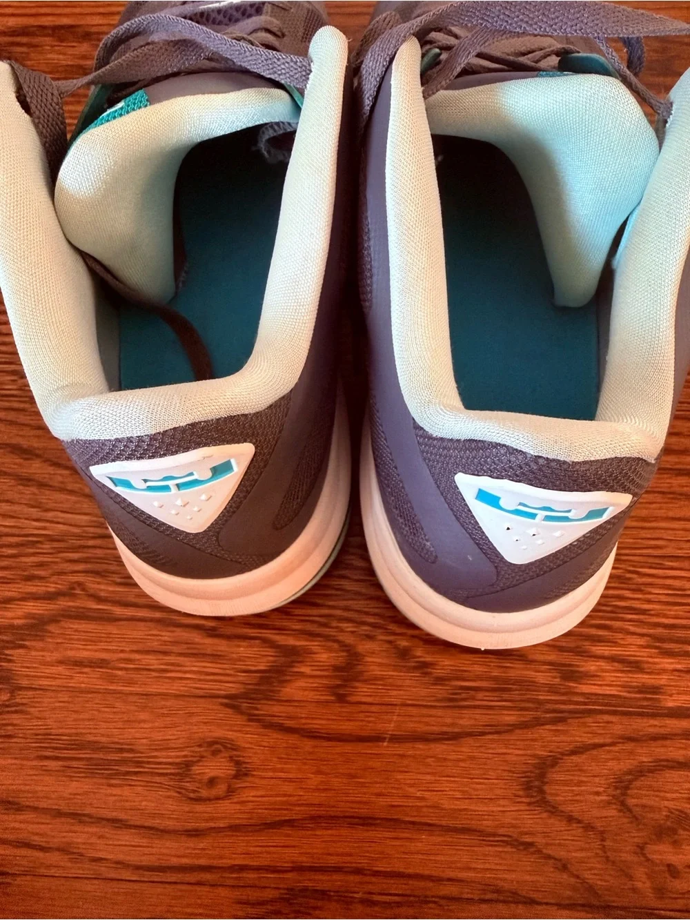 Nike LeBron 9 Low Easter Size 13 OG Box Extra Laces